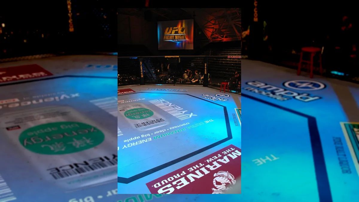 UFC en clair — regarder les combats en direct gratuitement